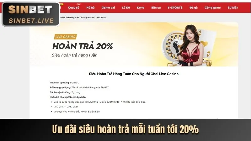 Cá cược thể thao trên WinVN